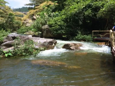 Qingyuan Huangtengxia Ecological Tourism Area