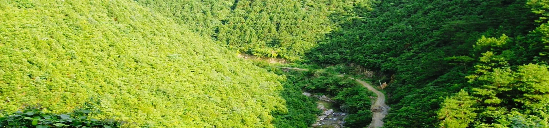 Top China Guide banner