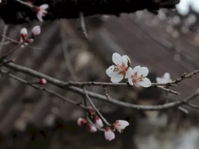 Huilong Tianjie Mountain Ecological Tourism Scenic Area