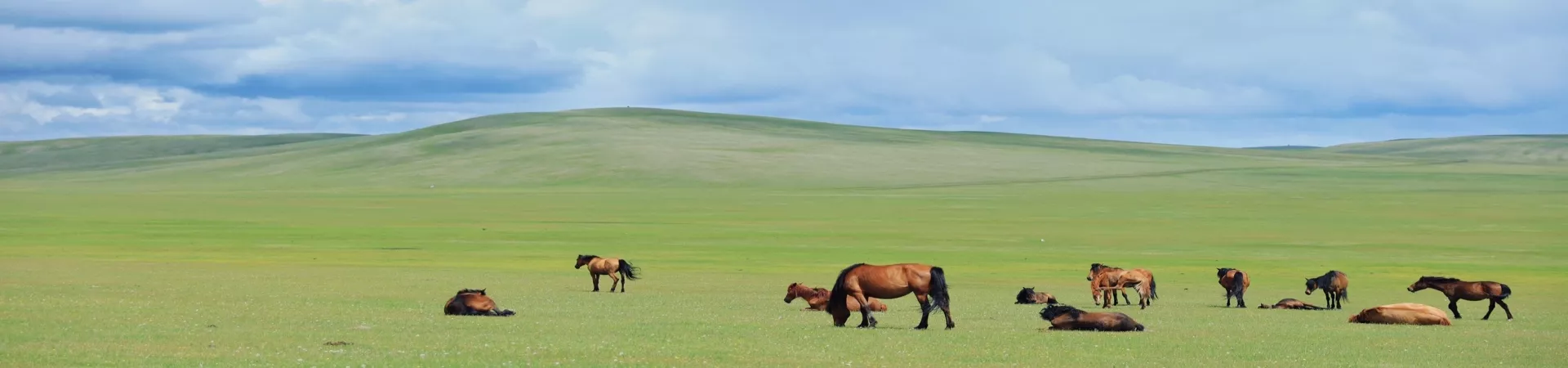 Top China Guide banner
