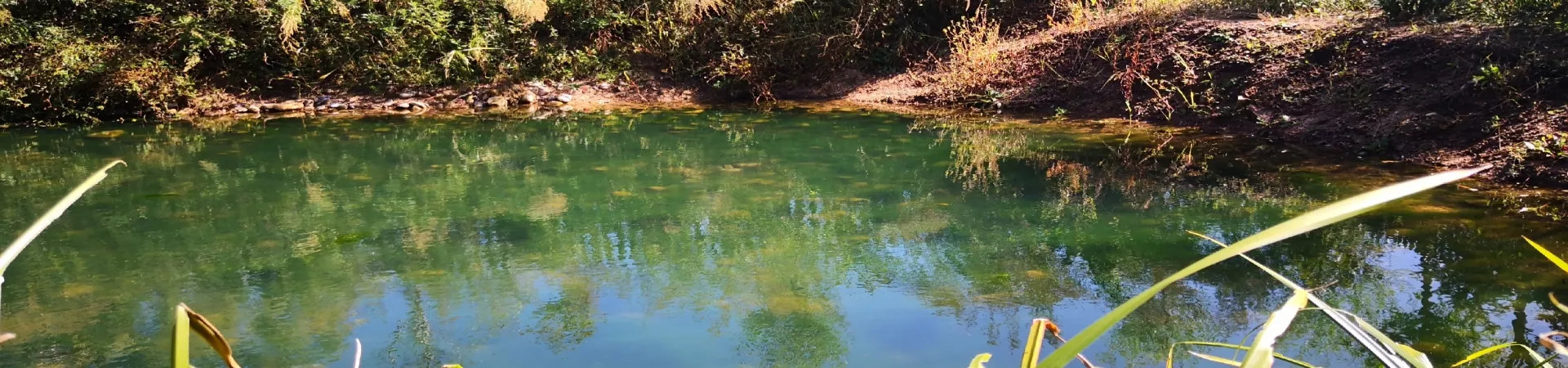 Top China Guide banner