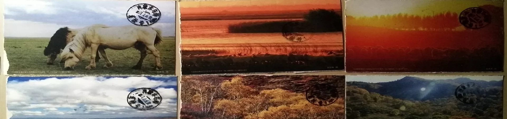 Top China Guide banner