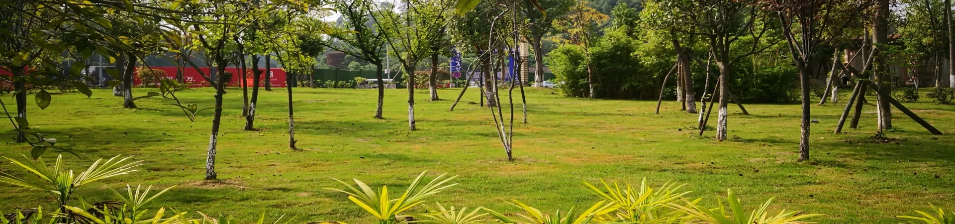 Top China Guide banner