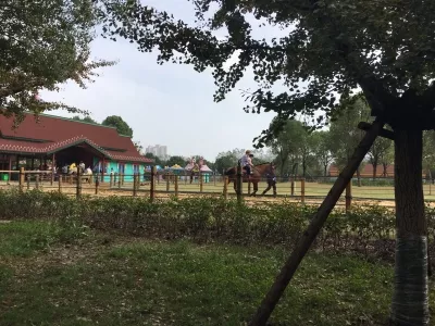 Jiangsu Yancheng Wildlife World