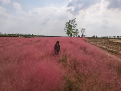 Jiaogang Lake Film and Television City