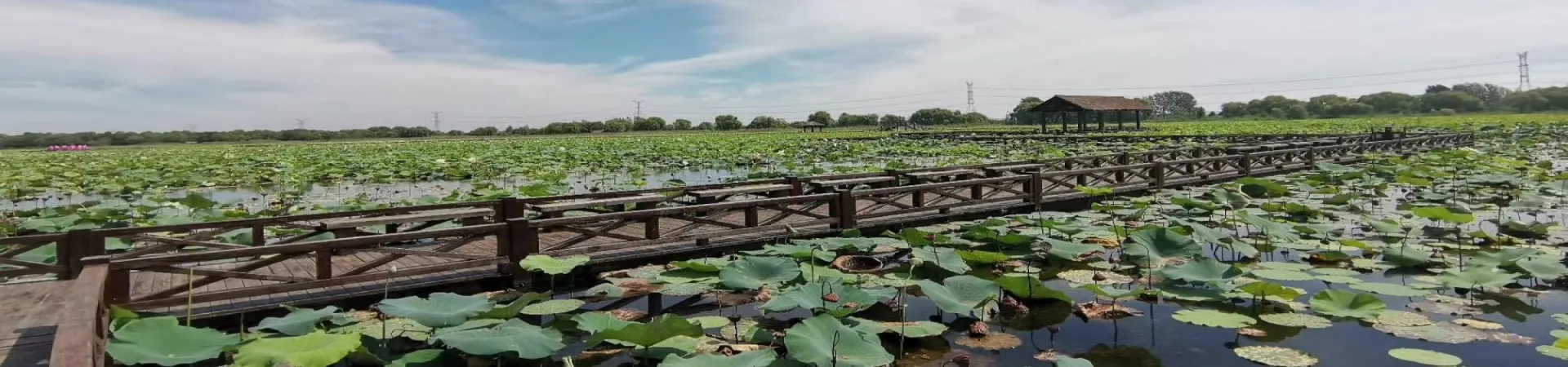 Top China Guide banner