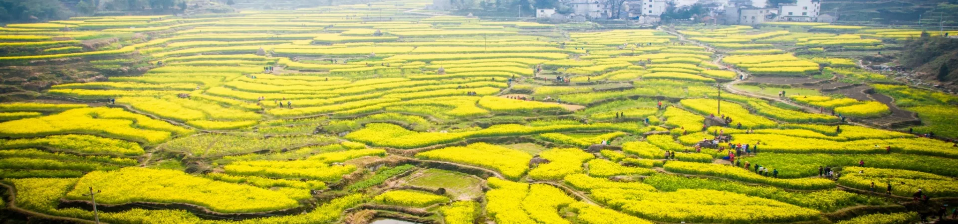 Top China Guide banner