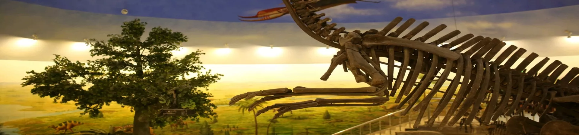 Top China Guide banner