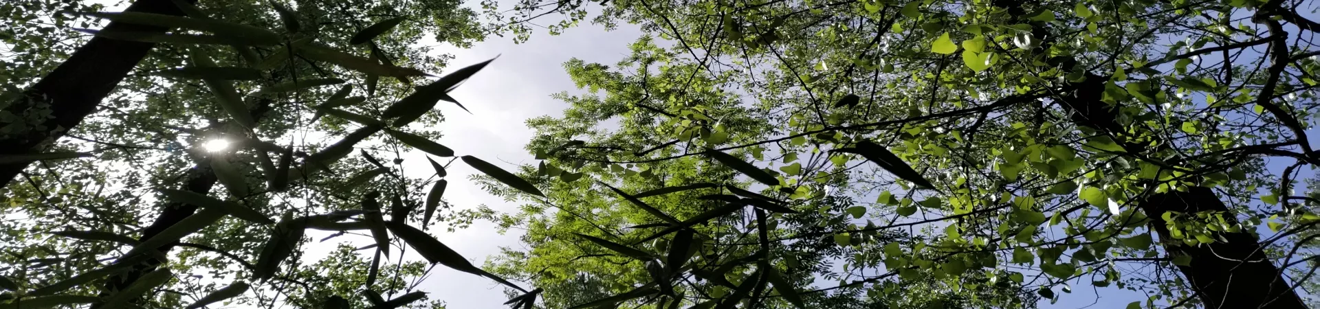 Top China Guide banner