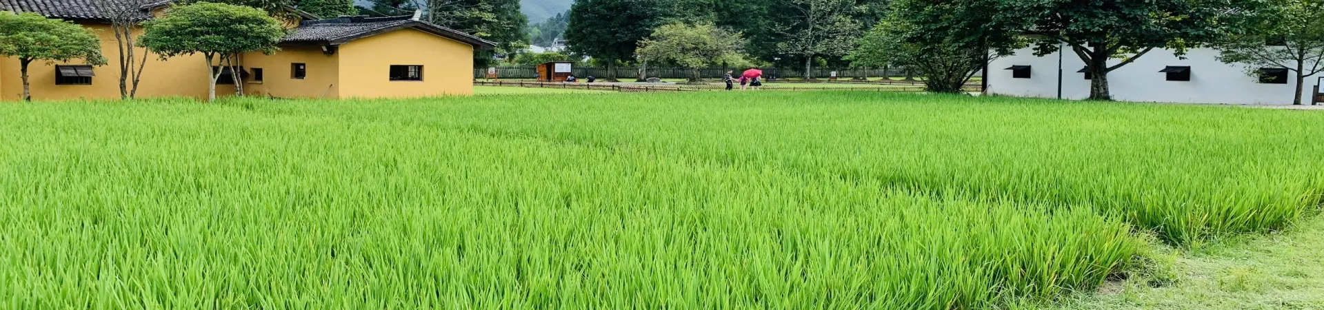 Top China Guide banner