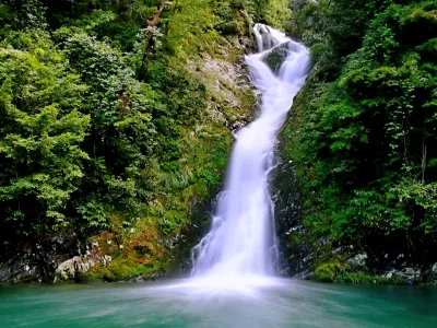 Jinggangshan Scenic Area - Longtan Scenic Area