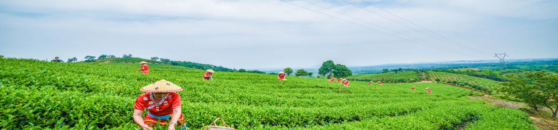 Top China Guide banner