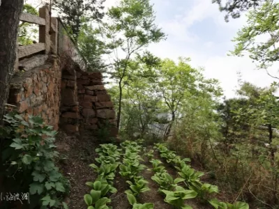 Jingzhong Mountain