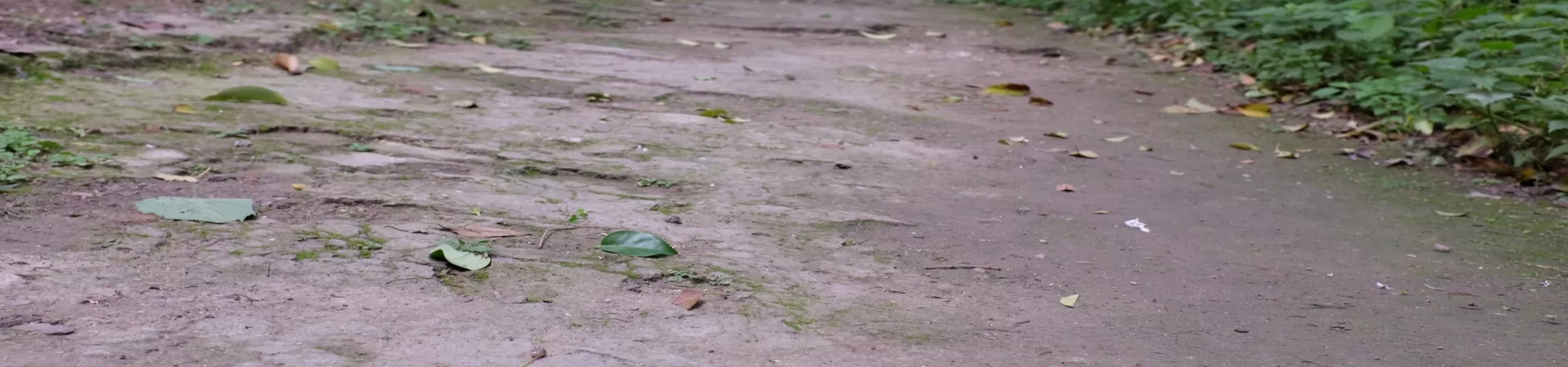 Top China Guide banner