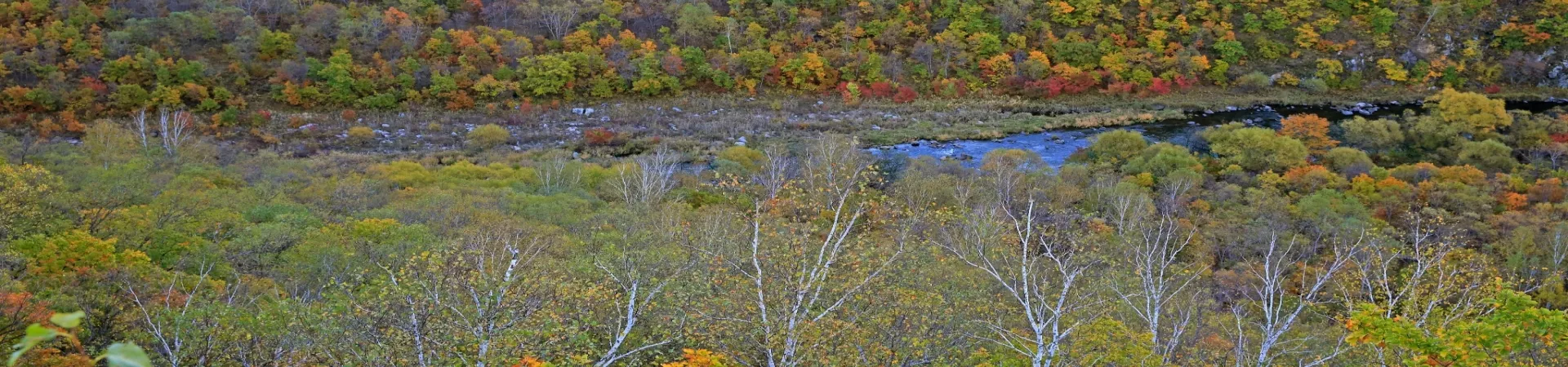 Top China Guide banner