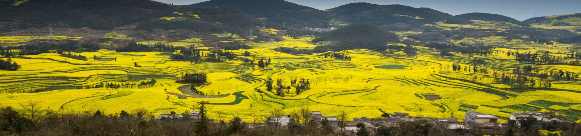 Top China Guide banner