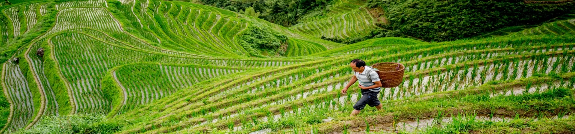 Top China Guide banner