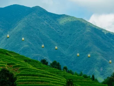 Jinkeng Terraced Fields