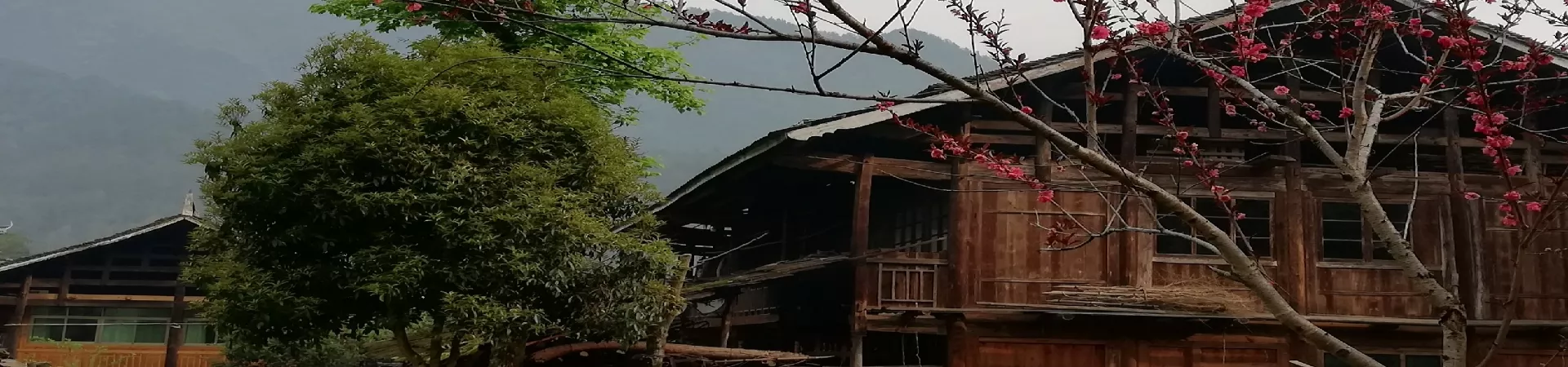 Top China Guide banner