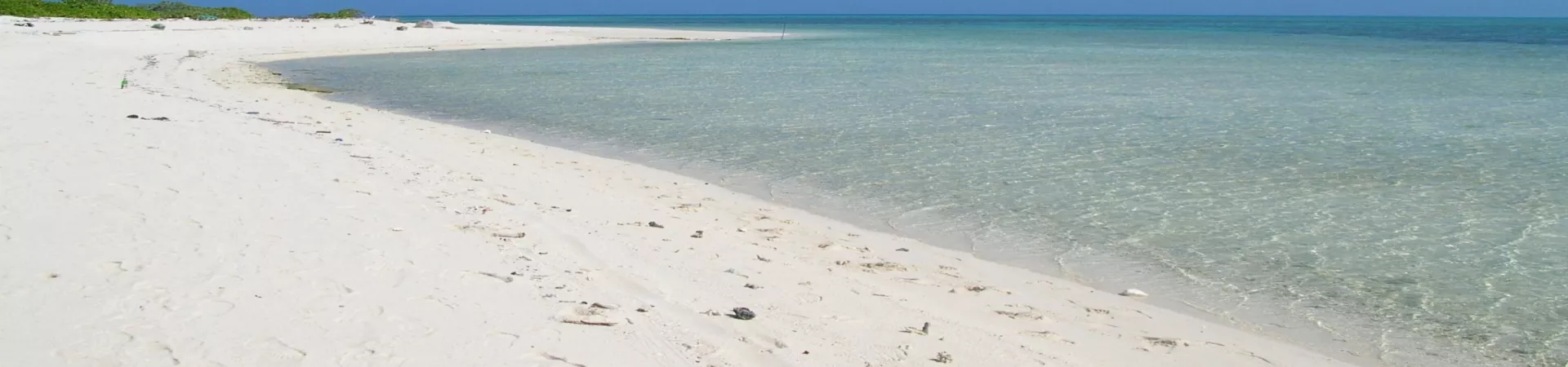 Top China Guide banner