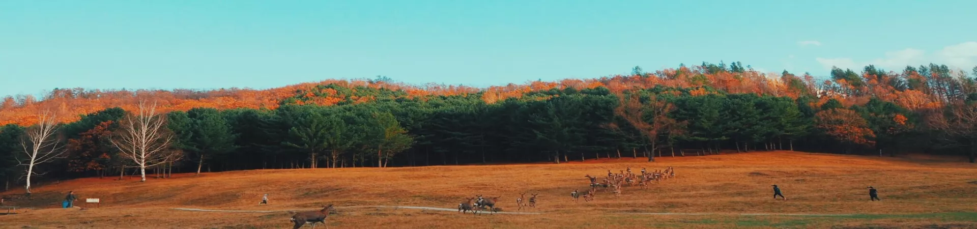 Top China Guide banner