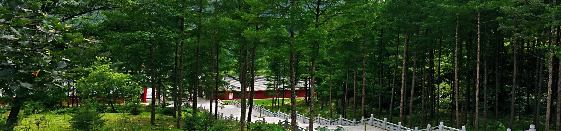 Top China Guide banner