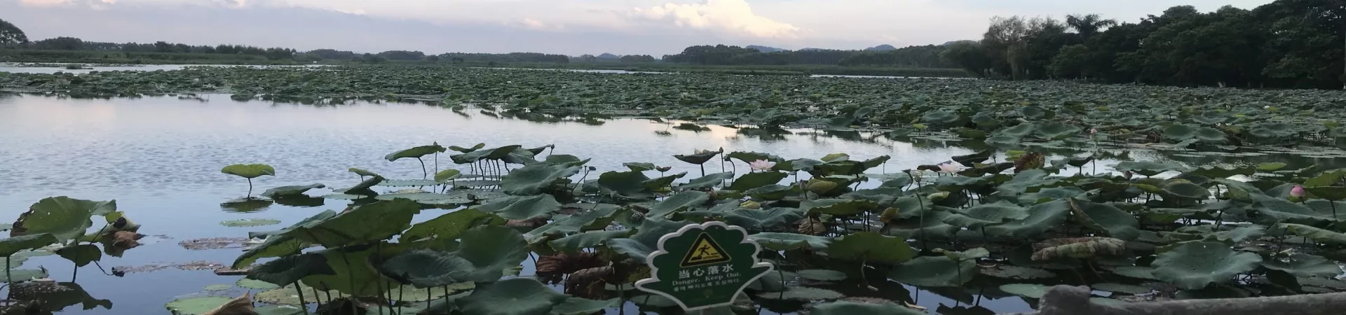 Top China Guide banner