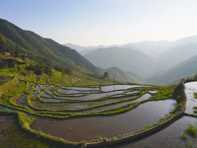 Joint terraced fields