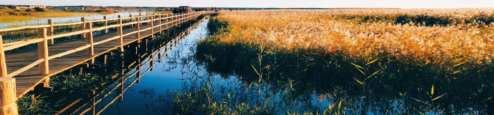 Top China Guide banner