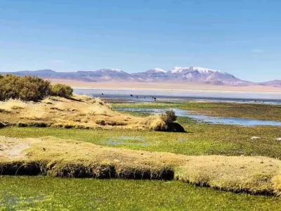 Kangbashi Tourist Area