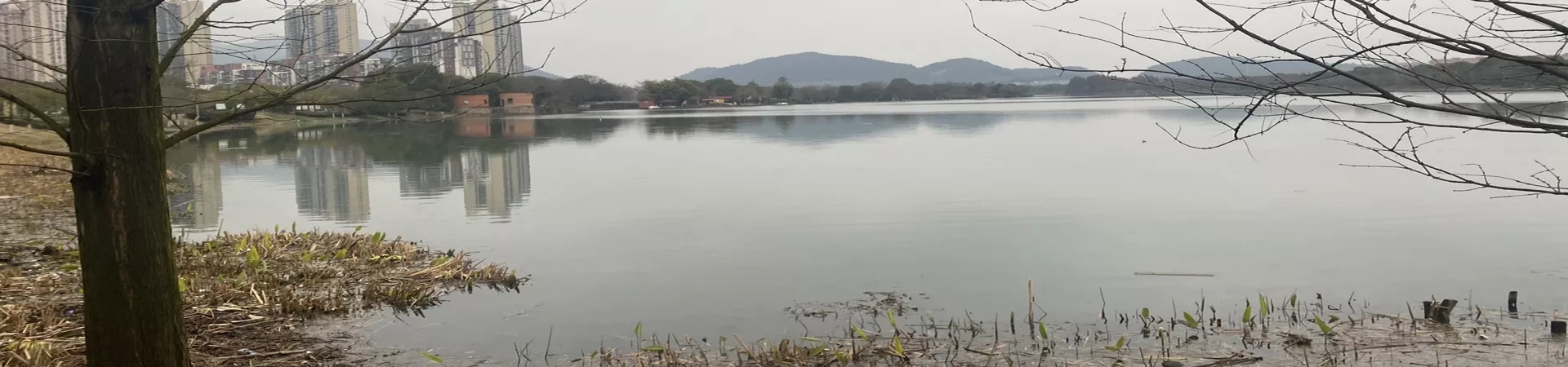 Top China Guide banner