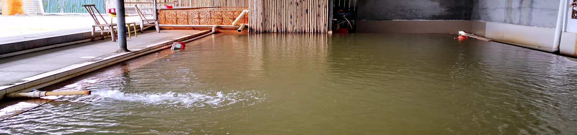 Top China Guide banner