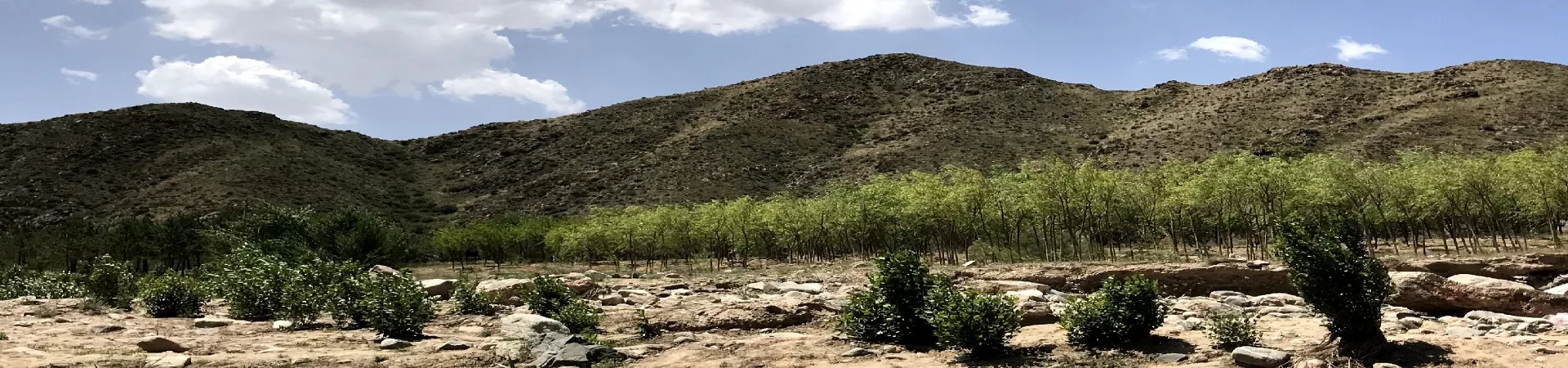 Top China Guide banner