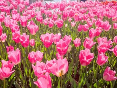 Kunming Cuihu Park