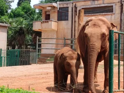 kunming zoo 
