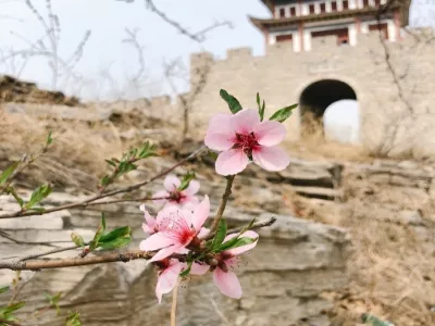 Laiwu Lvzuquan Tourist Area