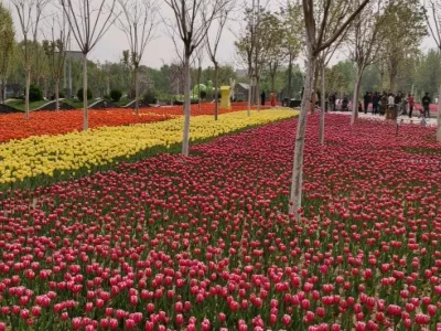 Langfang Cultural and Art Center