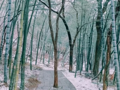 Langya Mountain Scenic Area