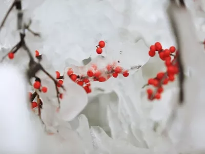 Lanhe Mountain Villa North Country Red Bean Valley