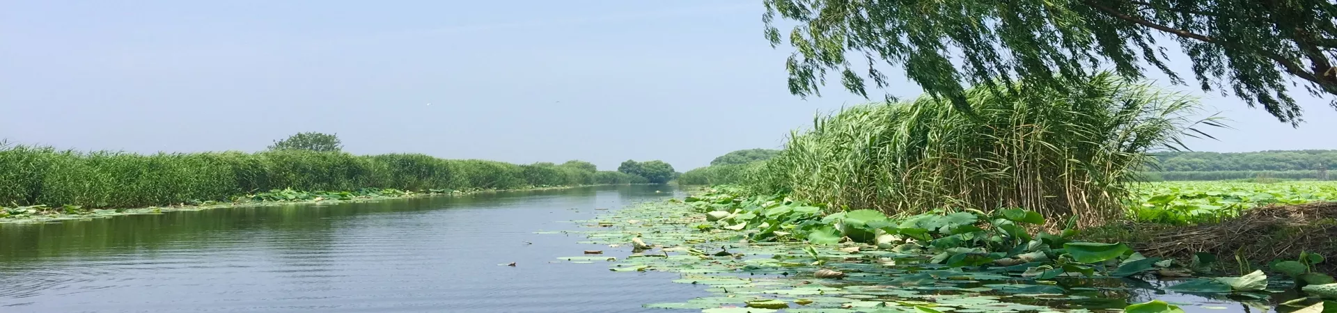 Top China Guide banner