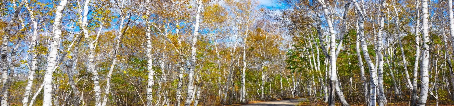 Top China Guide banner