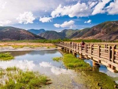 Walking Marriage Bridge