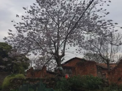 Liangzi Island