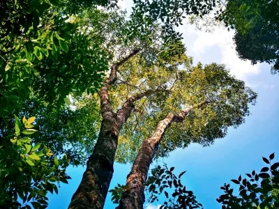Lianhua Mountain Tourist Scenic Area