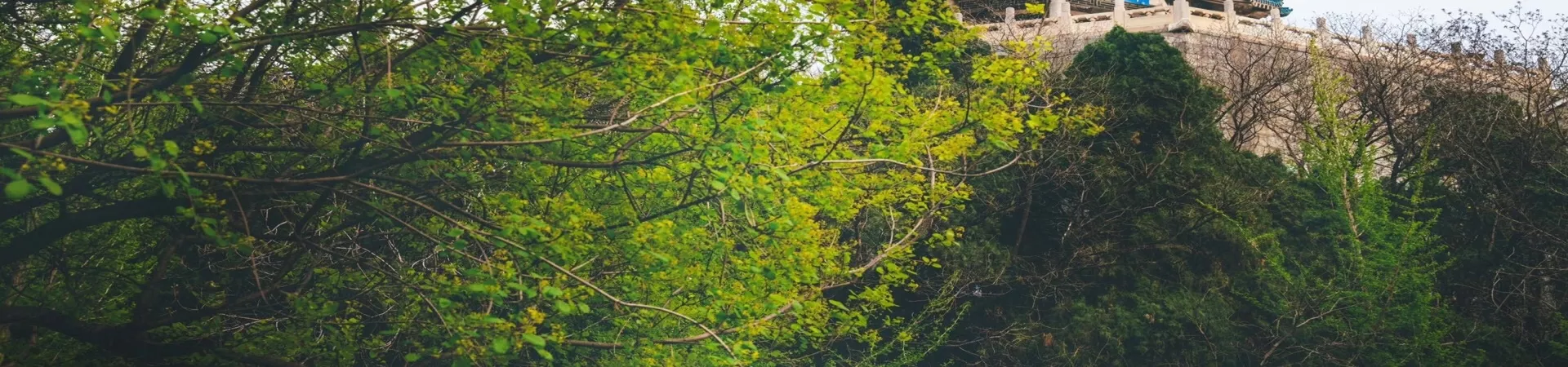 Top China Guide banner