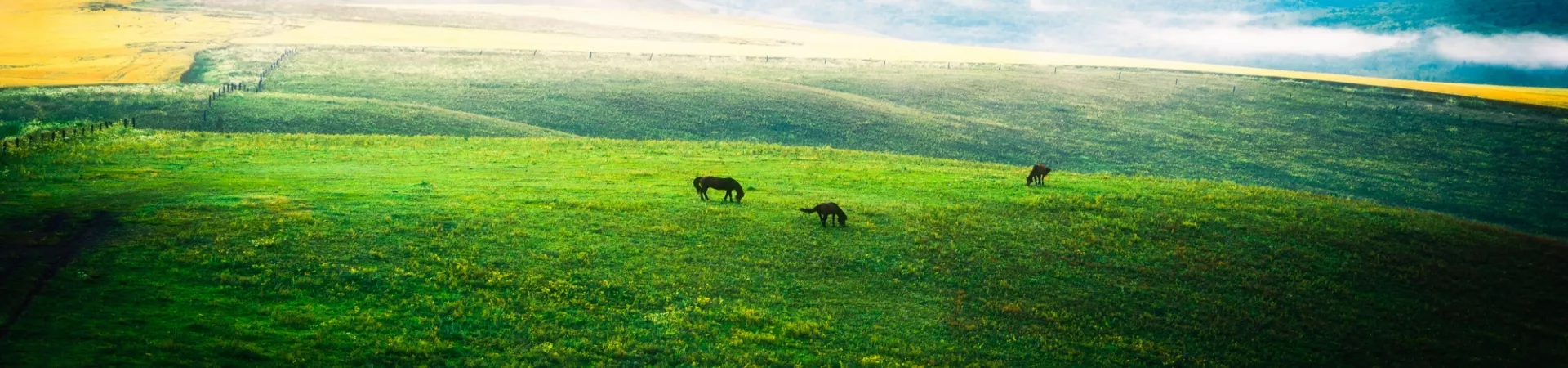 Top China Guide banner