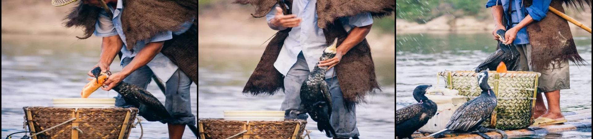 Top China Guide banner