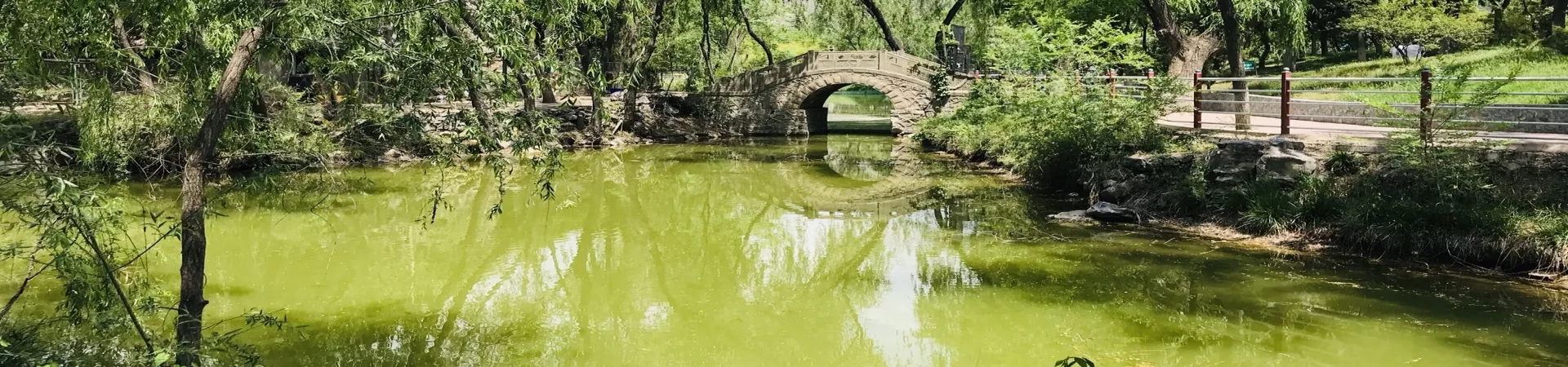 Top China Guide banner