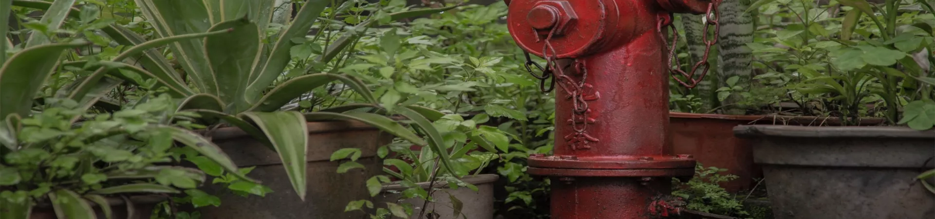 Top China Guide banner