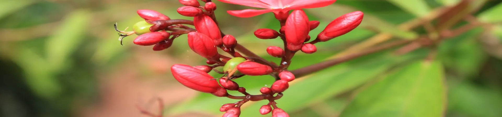 Top China Guide banner